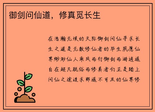 御剑问仙道，修真觅长生